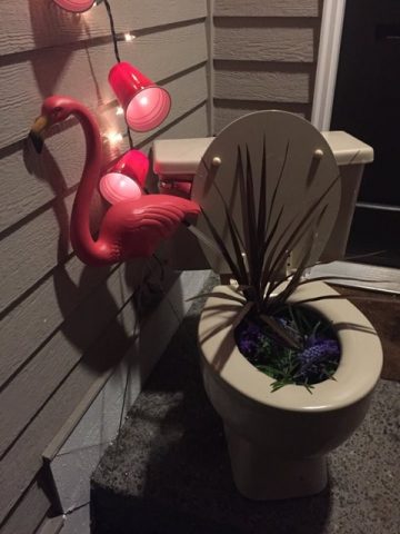 Night of Mystery | Trailer Parking it for Party of the Month! January 2018 a toilet with a red ribbon tied to it